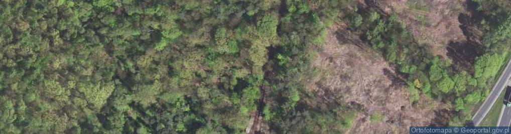 Zdjęcie satelitarne kochbunkier bojowy