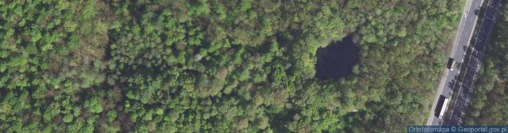 Zdjęcie satelitarne kochbunkier bojowy