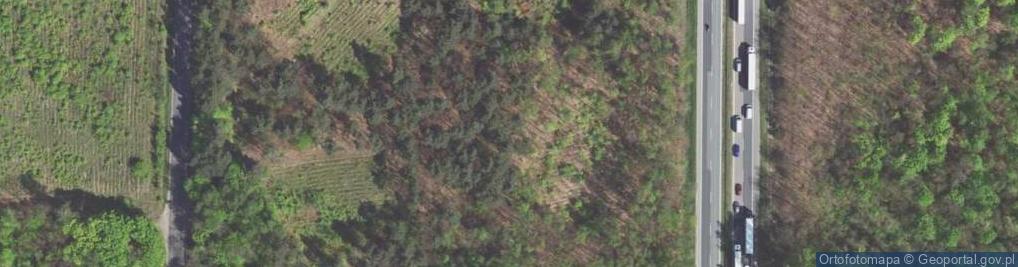 Zdjęcie satelitarne kochbunkier bojowy