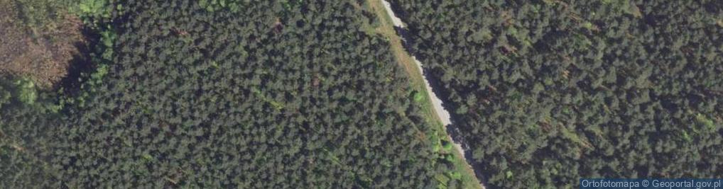 Zdjęcie satelitarne kochbunkier bojowy