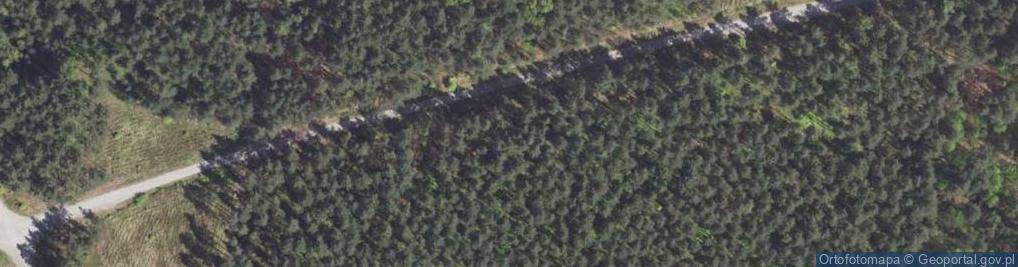 Zdjęcie satelitarne kochbunkier bojowy