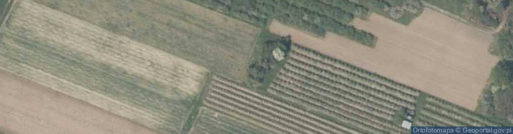 Zdjęcie satelitarne Regelbau 668