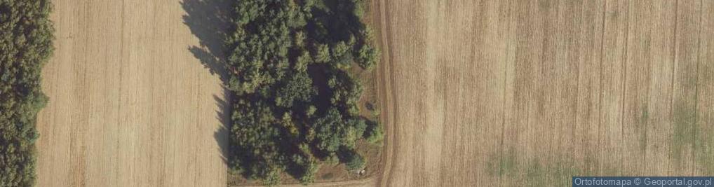 Zdjęcie satelitarne Tradytor jednostronny