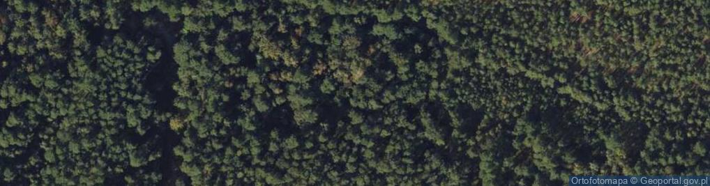 Zdjęcie satelitarne Wieża prawego punktu obserwacji dwubocznej