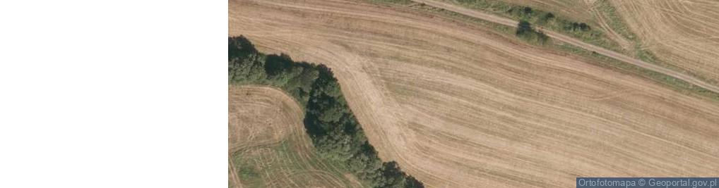 Zdjęcie satelitarne 80 km/h - Koniec