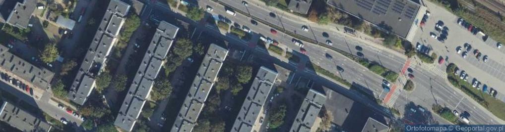 Zdjęcie satelitarne Męski - Garstkowiak Iwona