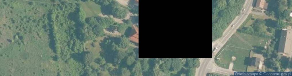 Zdjęcie satelitarne Dwór Zieleniewskich