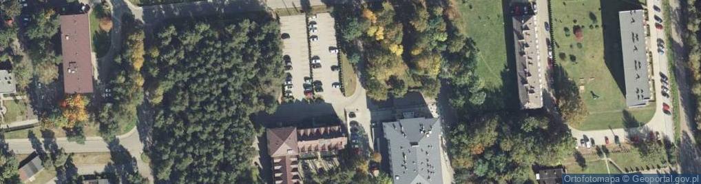 Zdjęcie satelitarne WILGA ***