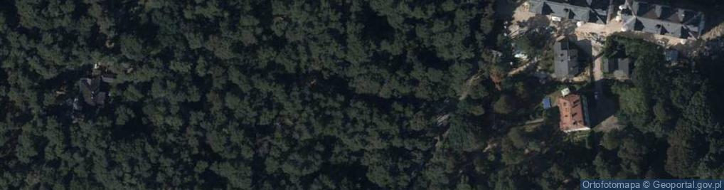 Zdjęcie satelitarne Hydrant