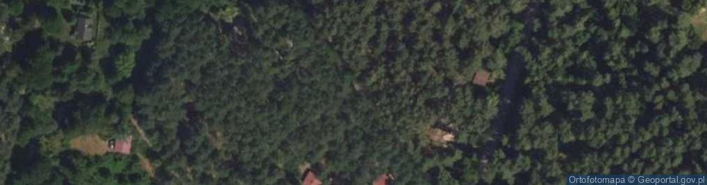 Zdjęcie satelitarne Hydrant