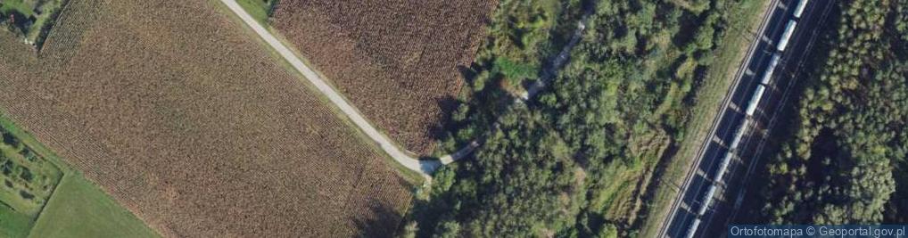 Zdjęcie satelitarne Hydrant