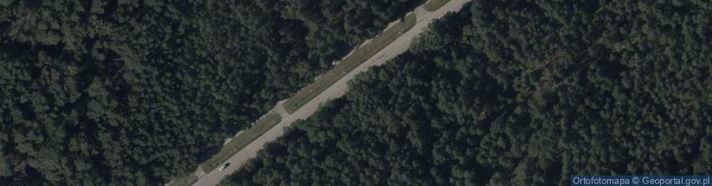 Zdjęcie satelitarne Hydrant