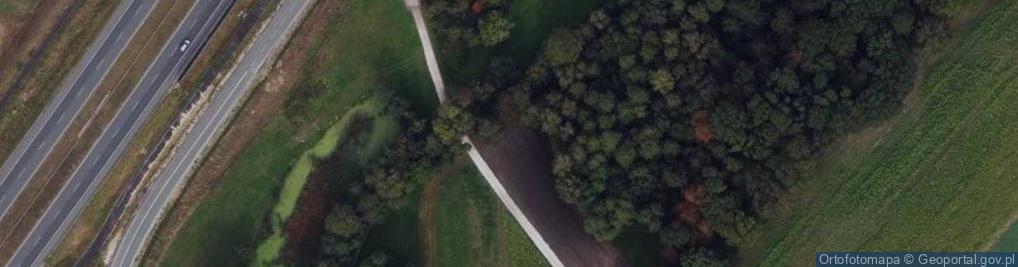 Zdjęcie satelitarne Hydrant