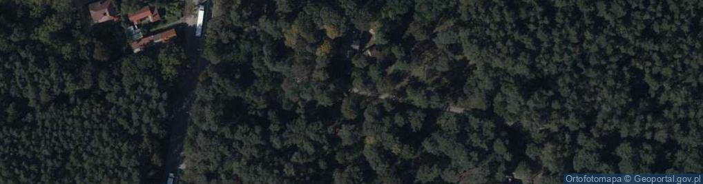 Zdjęcie satelitarne Hydrant