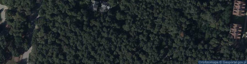 Zdjęcie satelitarne Hydrant