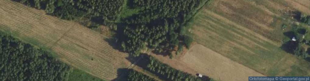 Zdjęcie satelitarne Hydrant