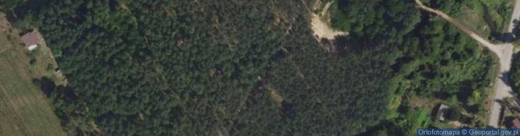 Zdjęcie satelitarne Hydrant