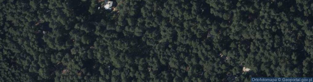 Zdjęcie satelitarne Hydrant