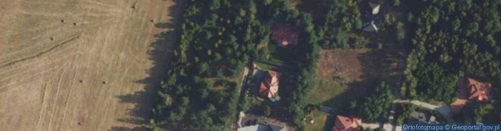 Zdjęcie satelitarne Hydrant