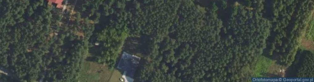 Zdjęcie satelitarne Hydrant