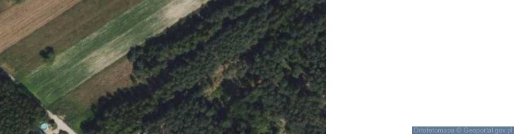 Zdjęcie satelitarne Hydrant