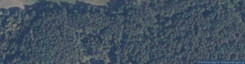 Zdjęcie satelitarne Hydrant