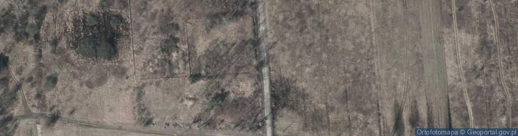 Zdjęcie satelitarne Hydrant