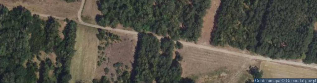 Zdjęcie satelitarne Hydrant