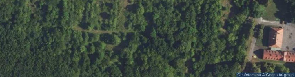 Zdjęcie satelitarne Hydrant