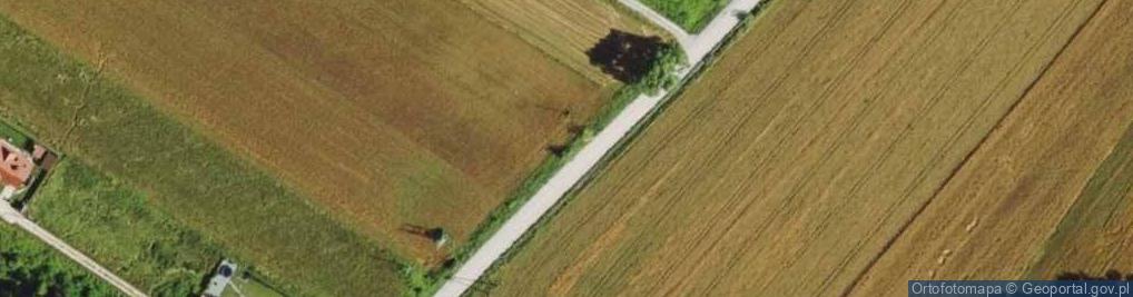 Zdjęcie satelitarne Hydrant