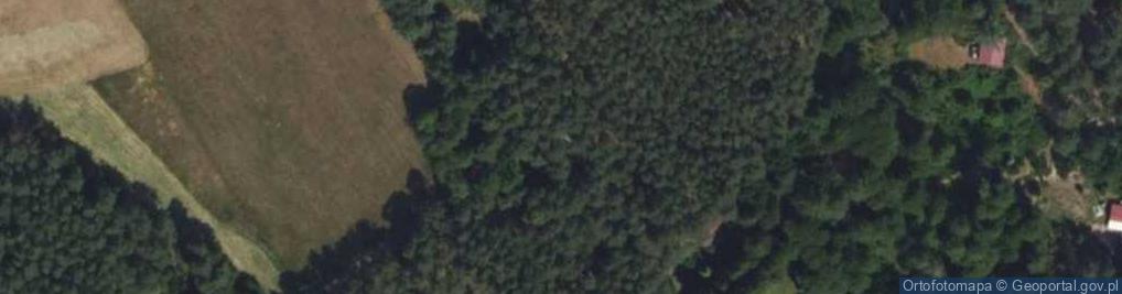 Zdjęcie satelitarne Hydrant