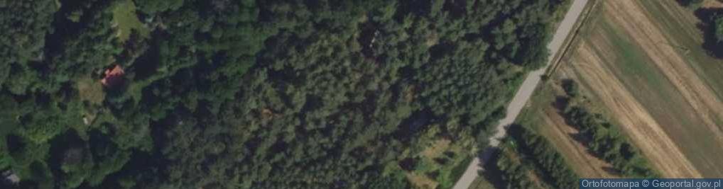 Zdjęcie satelitarne Hydrant