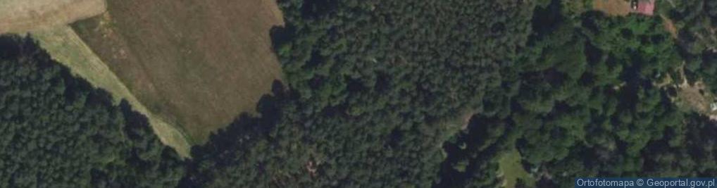 Zdjęcie satelitarne Hydrant