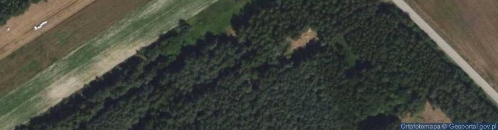 Zdjęcie satelitarne Hydrant