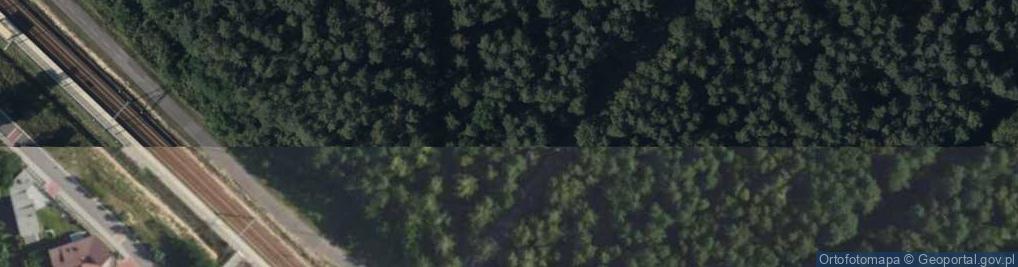 Zdjęcie satelitarne Hydrant