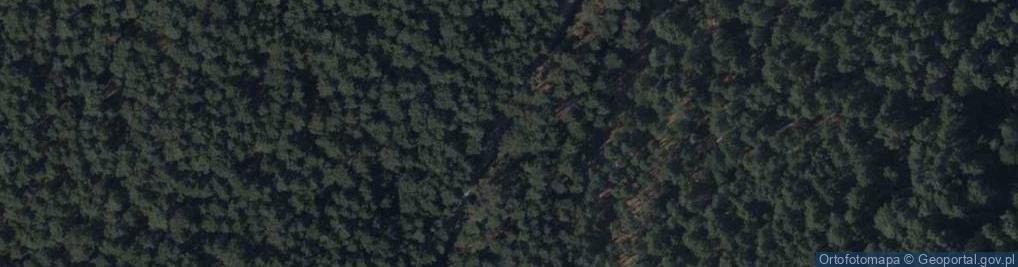 Zdjęcie satelitarne Hydrant