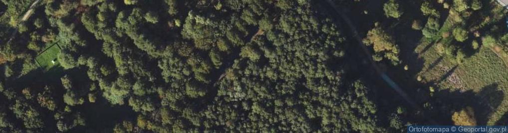 Zdjęcie satelitarne Hydrant