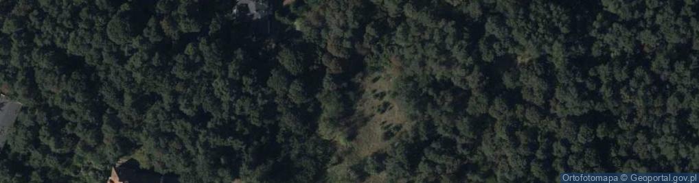 Zdjęcie satelitarne Hydrant