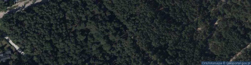 Zdjęcie satelitarne Hydrant