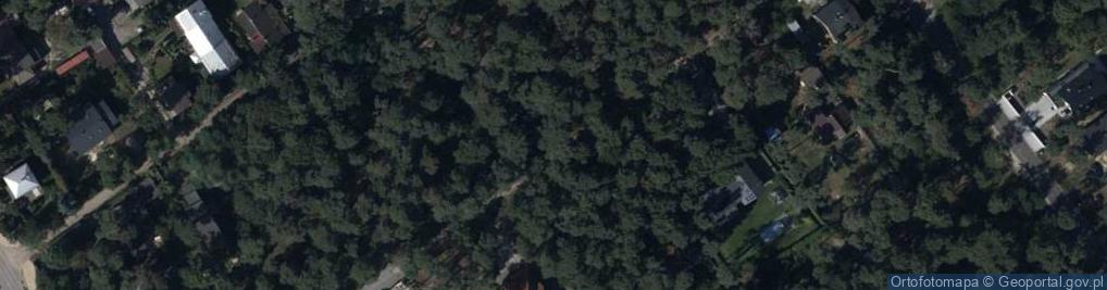 Zdjęcie satelitarne Hydrant