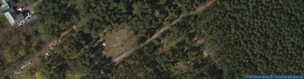 Zdjęcie satelitarne Hydrant