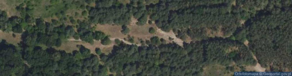 Zdjęcie satelitarne Hydrant