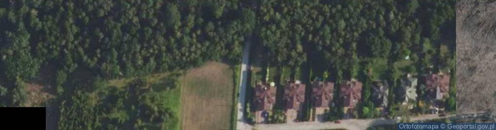 Zdjęcie satelitarne Hydrant