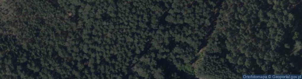 Zdjęcie satelitarne Hydrant