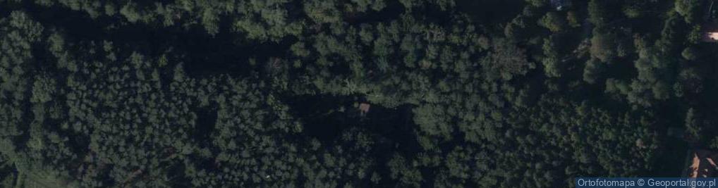 Zdjęcie satelitarne Hydrant