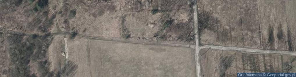 Zdjęcie satelitarne Hydrant