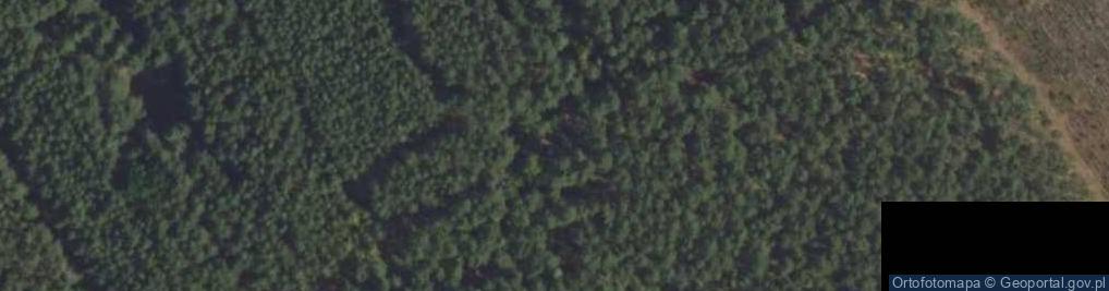 Zdjęcie satelitarne Hydrant