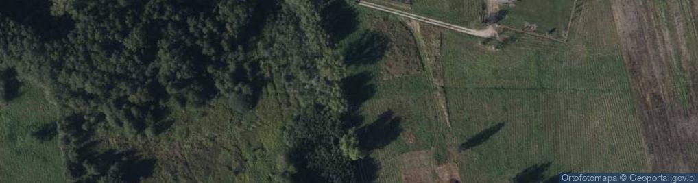 Zdjęcie satelitarne Hydrant