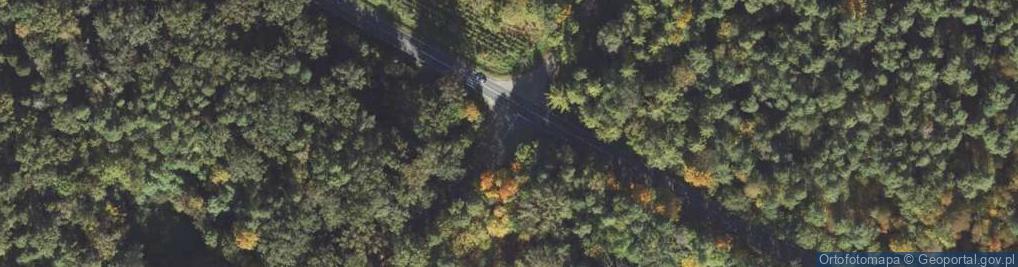 Zdjęcie satelitarne Hydrant