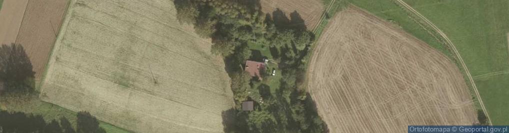 Zdjęcie satelitarne 21w.pl Sylwester Kowal